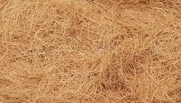 Cocopeat